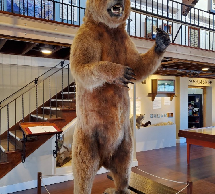 pacific-grove-museum-of-natural-history-photo